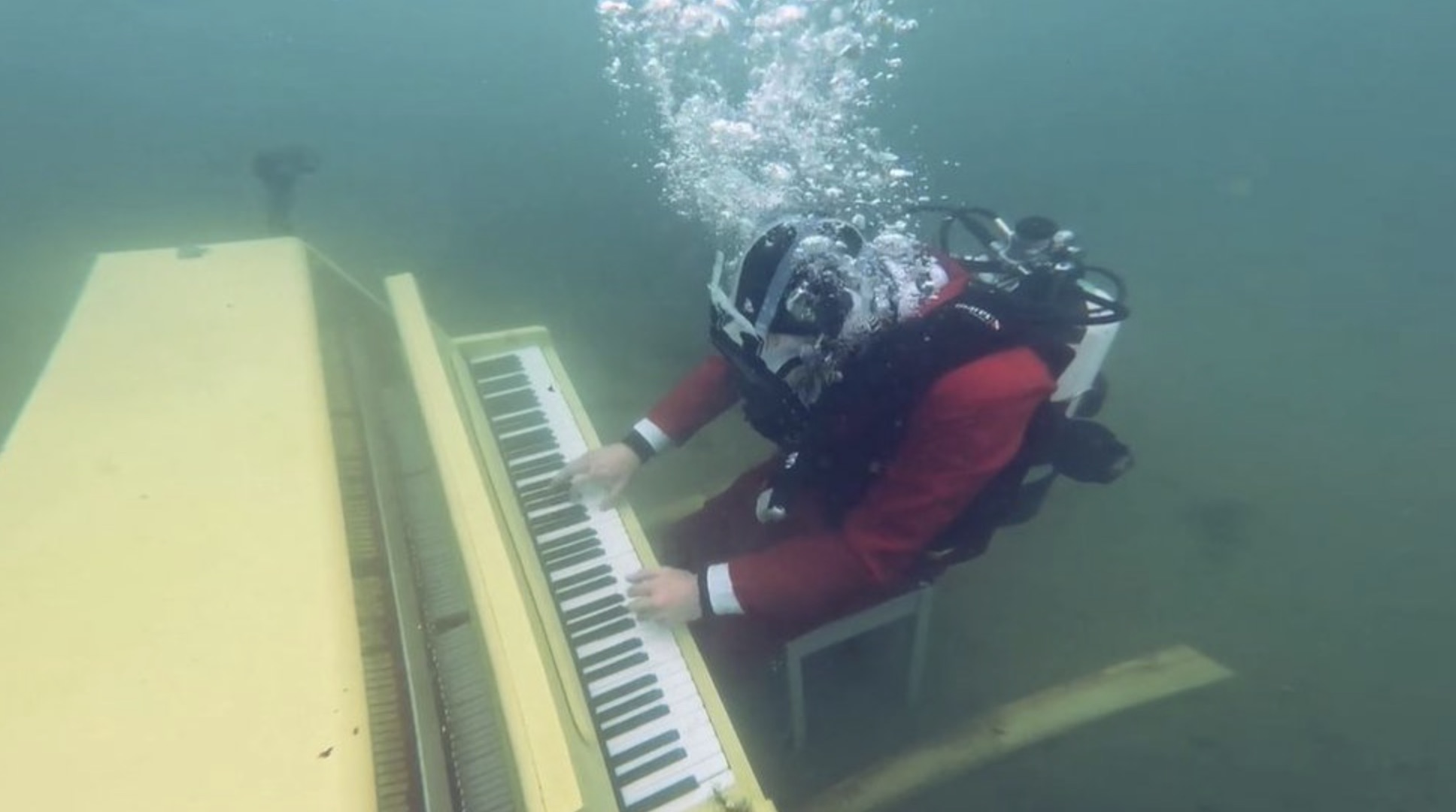 A very literal rendition of "Octopus's Garden" 